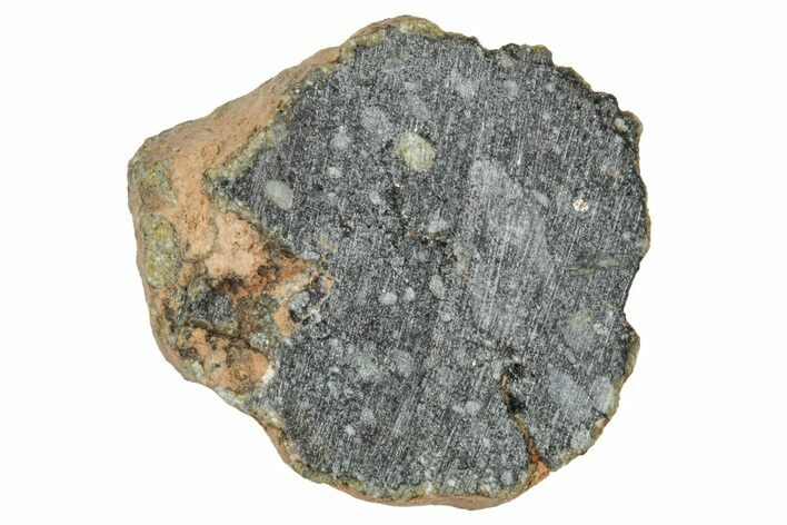 Polished Lunar Meteorite ( g) End Cut Slice - NWA #333147